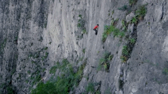 1589451145514746.gif 11.gif