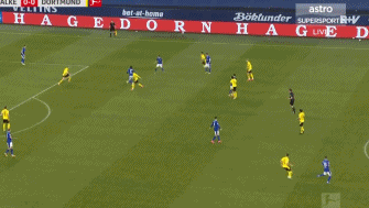 1613853828847919.gif 2.gif