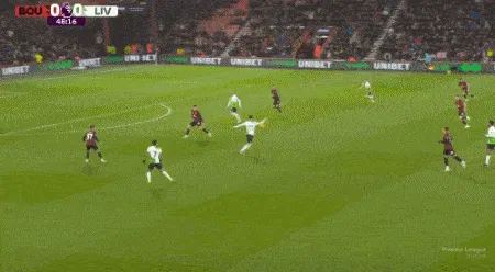 1705863465610817.gif 2.gif