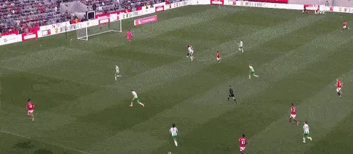 1722492331754858.gif 4.gif