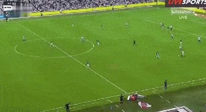 1729045051340389.gif 3.gif