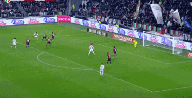 1734483274386453.gif 2.gif