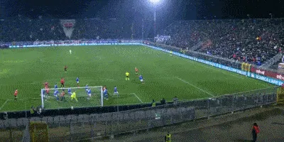 1736883242136659.gif 3.gif