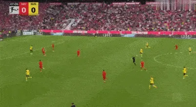 1744482844176941.gif 2.gif